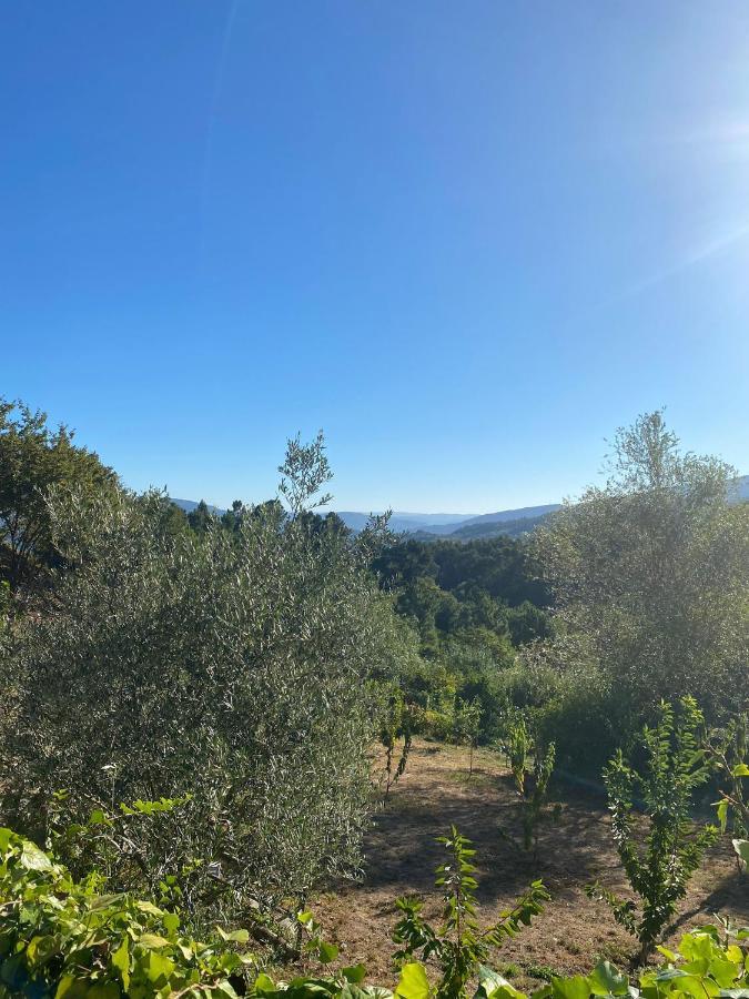 Pinhawood Villa Resende Dış mekan fotoğraf