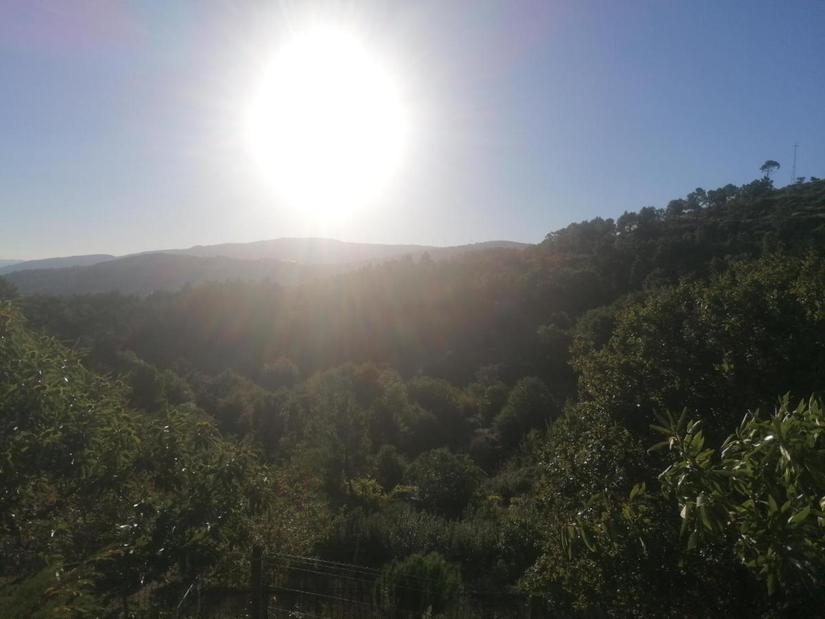 Pinhawood Villa Resende Dış mekan fotoğraf