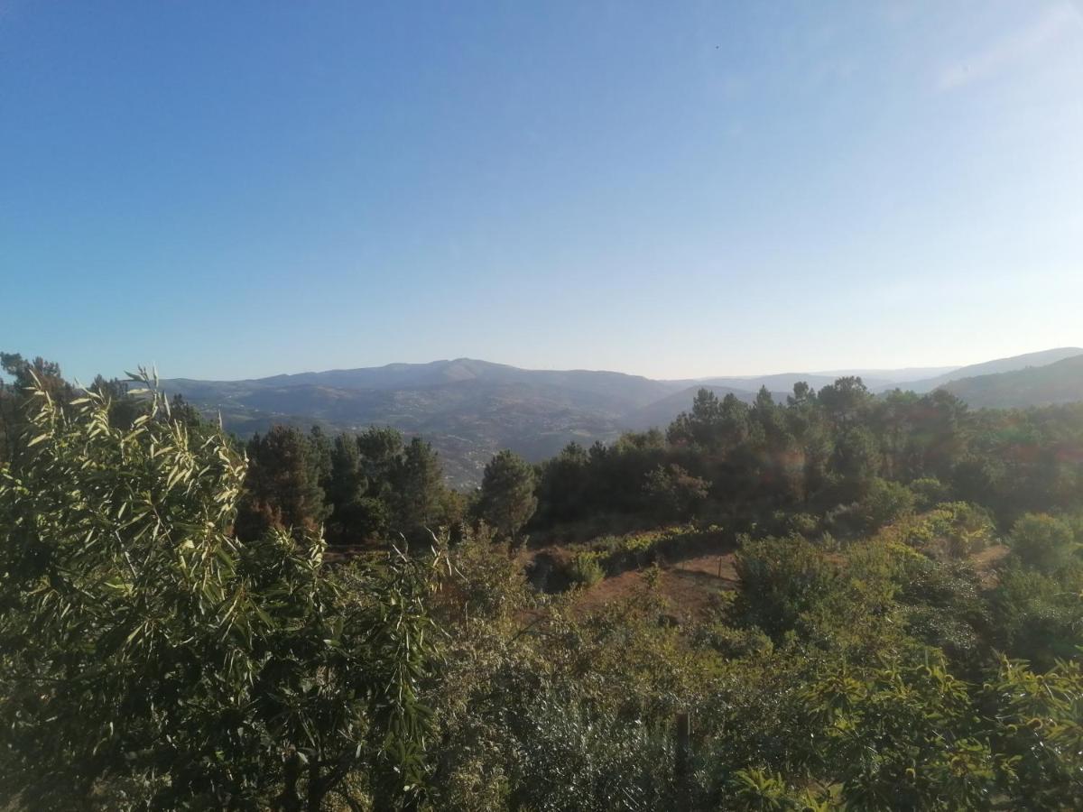 Pinhawood Villa Resende Dış mekan fotoğraf