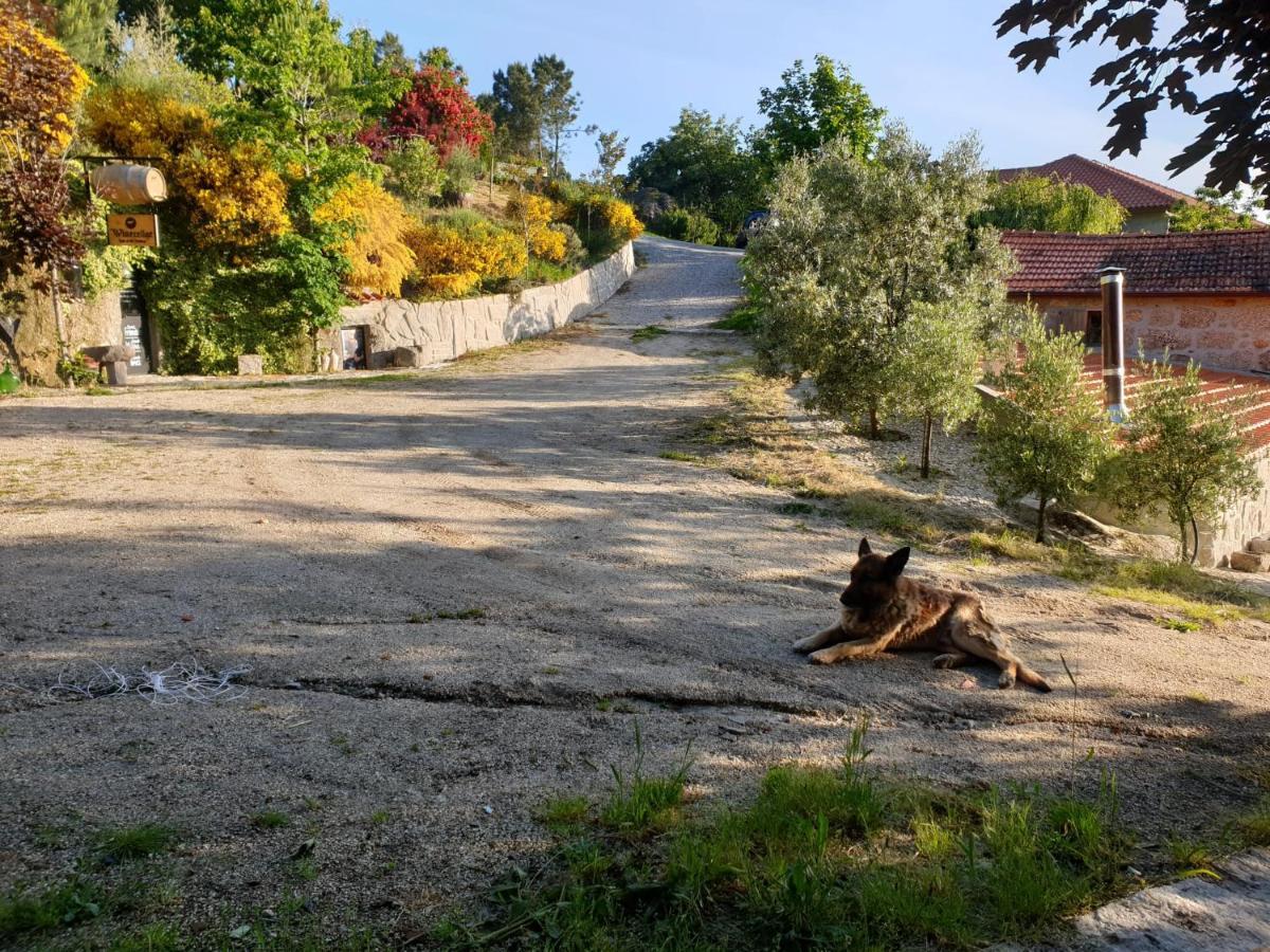 Pinhawood Villa Resende Dış mekan fotoğraf