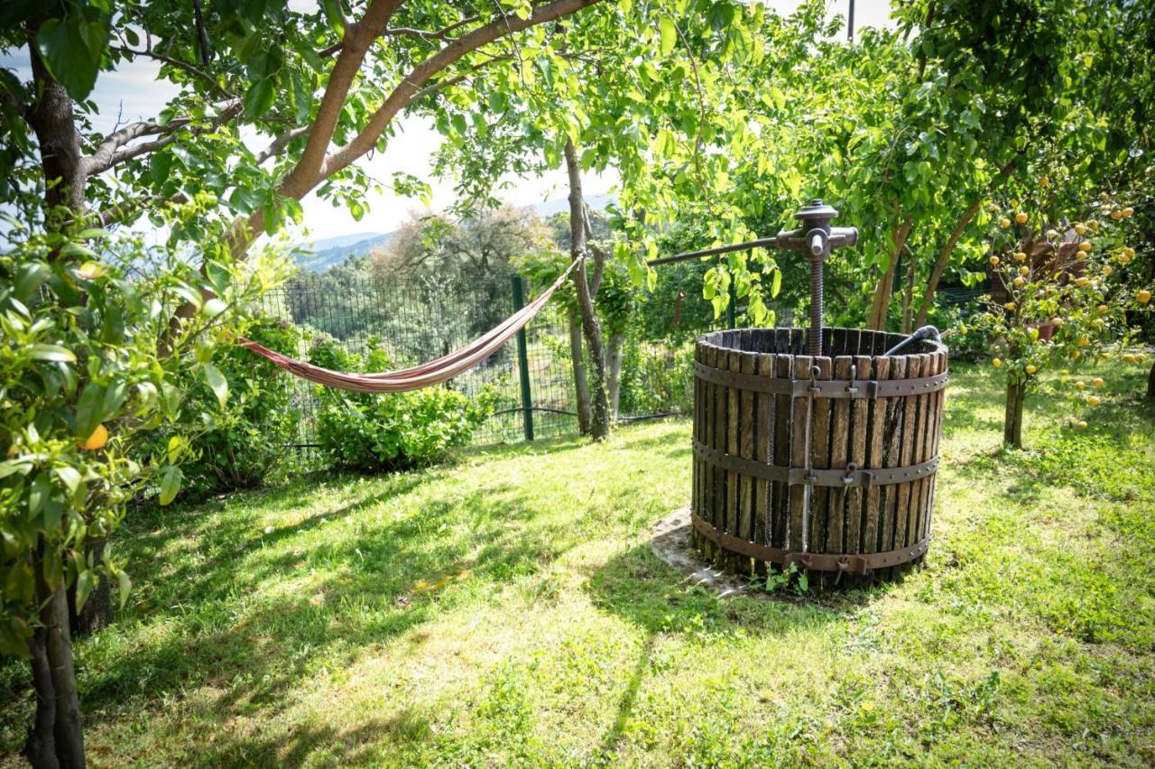 Pinhawood Villa Resende Dış mekan fotoğraf